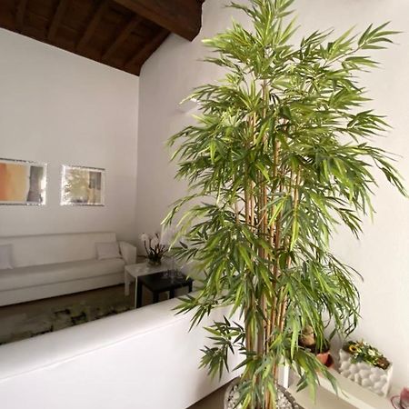 Suite Saffi 99 Viterbo Eksteriør billede