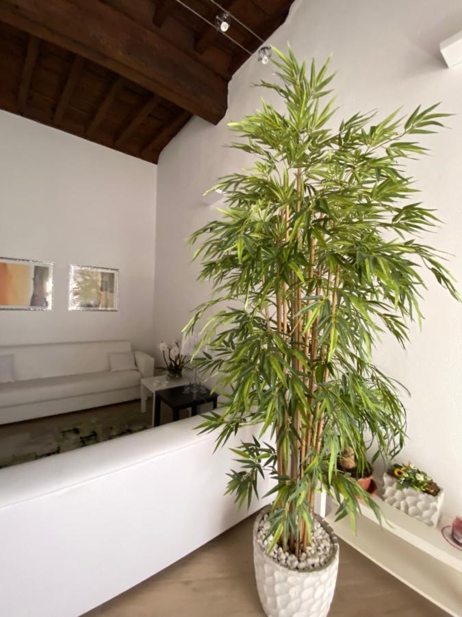 Suite Saffi 99 Viterbo Eksteriør billede